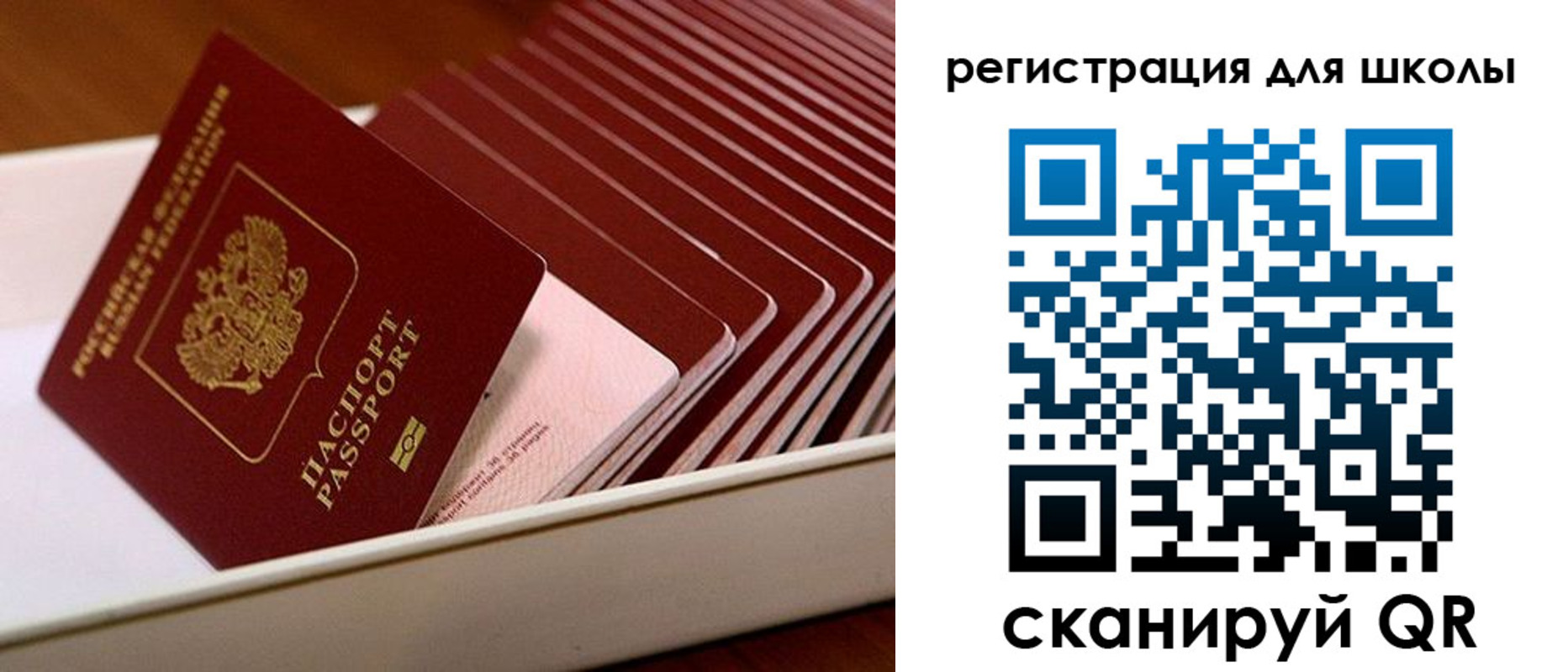 прописка гарантия в Всеволожске